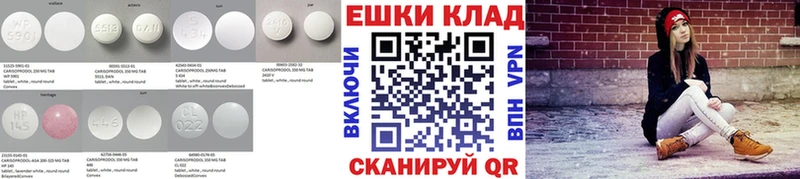 ЭКСТАЗИ Philipp Plein  Купить закладки  Грайворон 