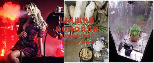 гашишное масло Богданович