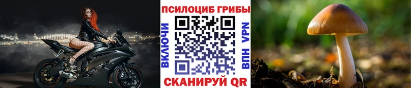 Галлюциногенные грибы Psilocybe  Купить  Грайворон 