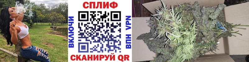 Конопля SATIVA & INDICA Грайворон